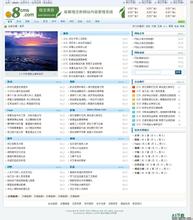 ���˲�����ͷ��Ƶ���ҹ����Ծ������������½� IT��ְҵ�»����ʸ�...